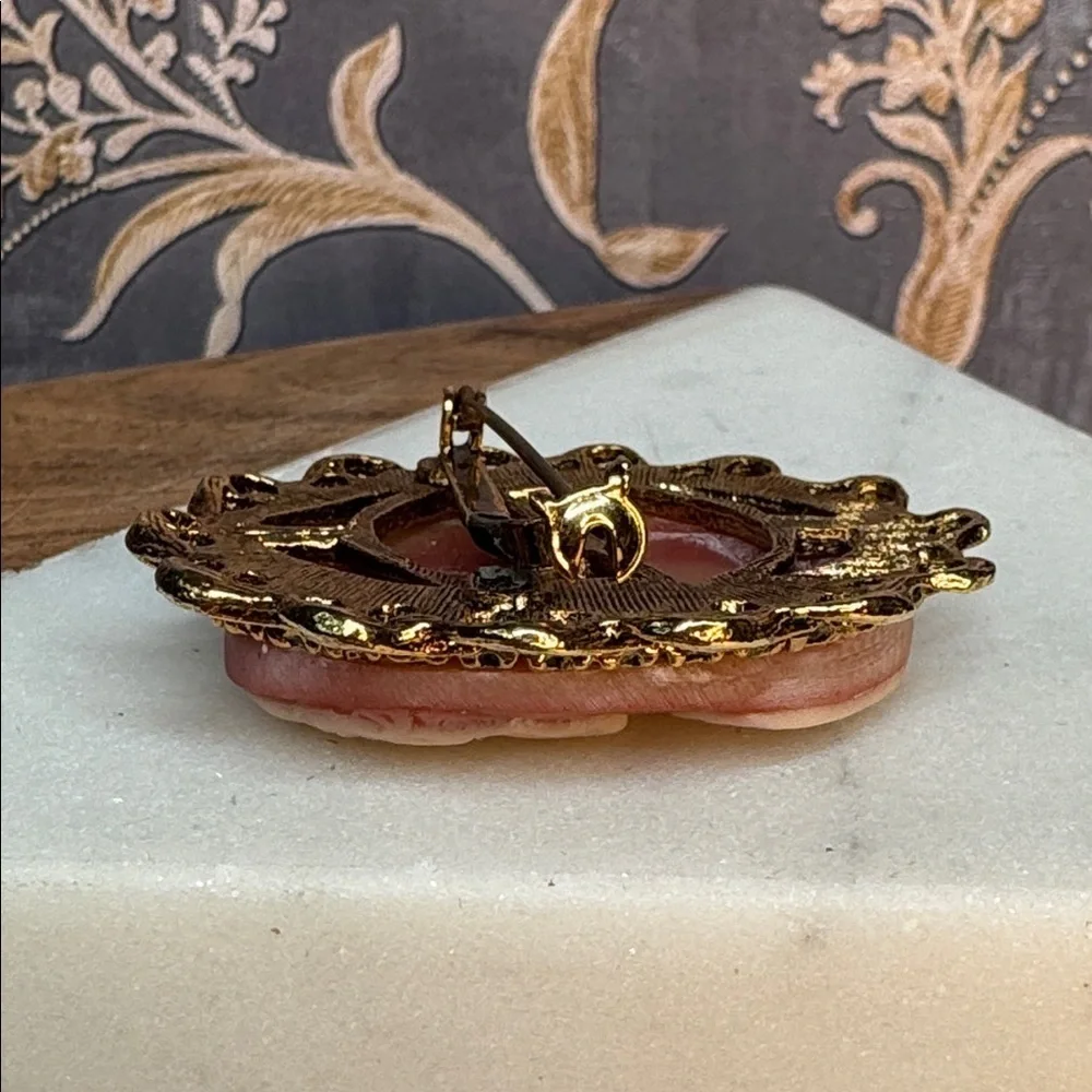 Vintage Cameo Type Costume Pin Brooch in Goldtone Frame Setting Lot B38